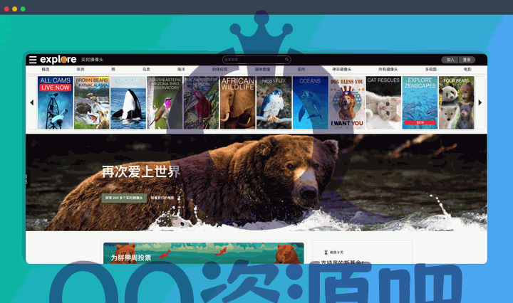 Explore.org：一个可以查看全球动物直播的网站，能够近距离观察野生动物的日常生活