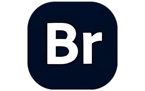 Adobe Bridge 2026 (16.0.4.40) 特别版