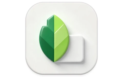 Snapseed 专业照片编辑 v4.1.1.948762742 谷歌版